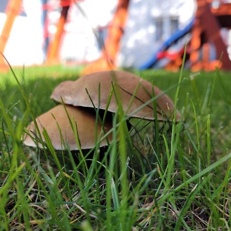 Apartamenty Morski Brzeg - Sauna, Balia Władysławowo Exteriér fotografie